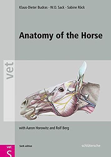 Anatomy of the Horse: with Aaron Horowitz and Rolf Berg by Budras, Sack New*- Bardzo popularne