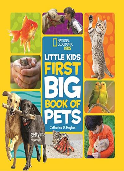 LITTLE KIDS FIRST Big Book of Pets (First Big B, Kids, Ferguson-Delano