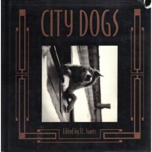 City Dogs