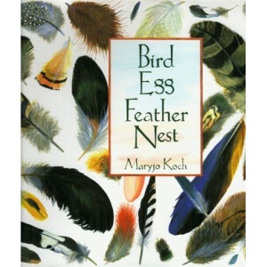 Bird Egg Feather Nest