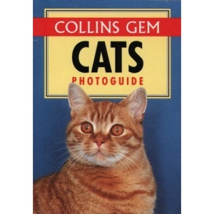 Cats Photo Guide