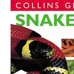 Snakes (Collins Gem)