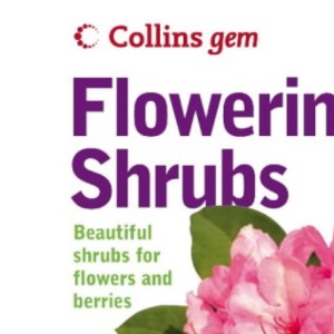 Collins Gem – Flowering Shrubs