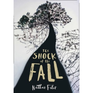 The Shock of the Fall