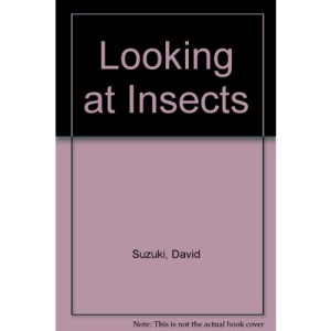 Looking at Insects