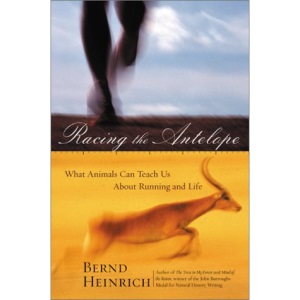 Racing the Antelope: What Animals Can Teach Us About Running and Life