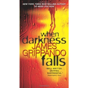 When Darkness Falls (Jack Swyteck)
