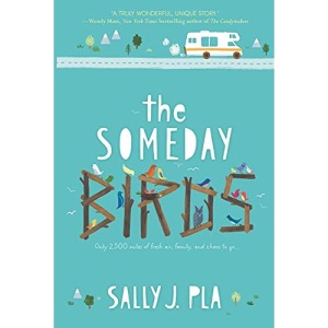 The Someday Birds