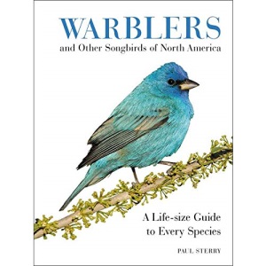 Warblers and Other Songbirds of North America: A Life-size Guide to Every Species