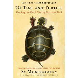 Of Time And Turtles: Mending The World, Shell By Shattered Shell
