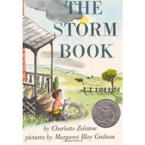 The Storm Book