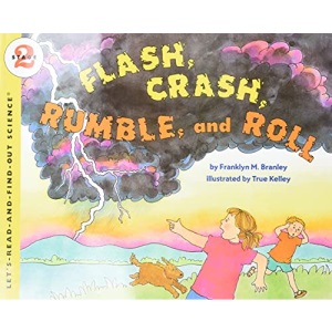 Flash Crash Rumble and Roll (Let's-Read-And-Find-Out Science 2)