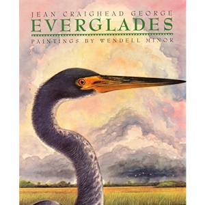 Everglades