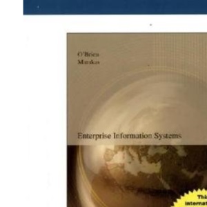 Enterprise Information Systems