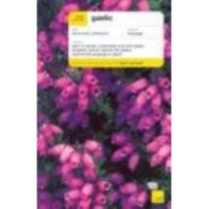 Teach Yourself Gaelic Complete Course (Book Only) (Teach Yourself Language Complete Courses)