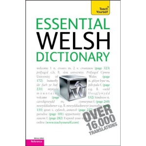 Essential Welsh Dictionary: Welsh-English/English-Welsh (Teach Yourself: Reference)
