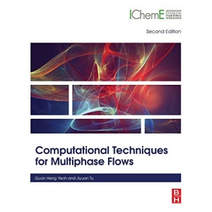 Computational Techniques for Multiphase Flows