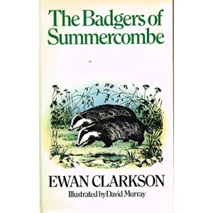 Badgers of Summercombe