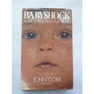 Babyshock: A Mother's First Five Years