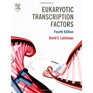 Eukaryotic Transcription Factors