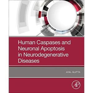 Human Caspases and Neuronal Apoptosis in Neurodegenerative Diseases