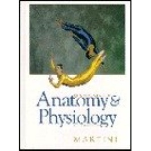 Fundamentals of Anatomy and Physiology