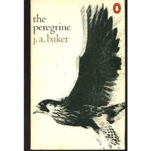 The Peregrine