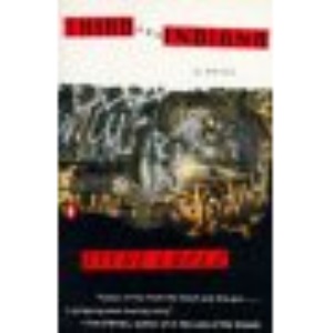 Third And Indiana: A Novel