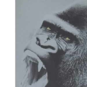 Planet of the Apes (Penguin Modern Classics)