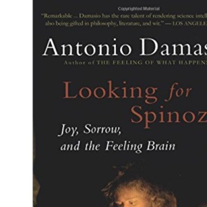 Looking for Spinoza: Joy, Sorrow, and the Feeling Brain