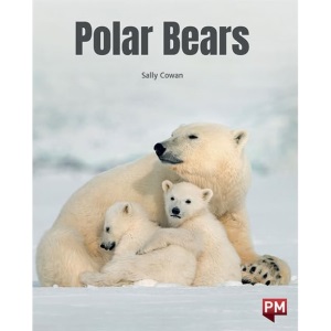 Polar Bears