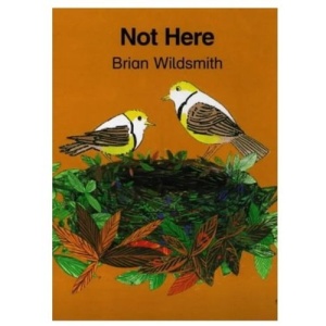 Not Here (Cat On The Mat Books)