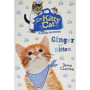 Ginger the Kitten (Dr KittyCat is ready to rescue)