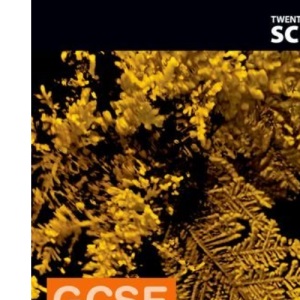 Twenty First Century Science: GCSE Chemistry Teacher Handbook (Twenty First Century Science Third Edition)