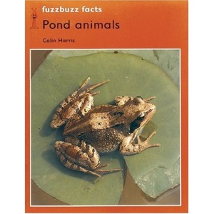 fuzzbuzz: Level 2: fuzzbuzz facts: Pond Animals: A Remedial Reading Scheme: Facts Level 2