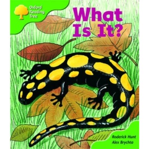 Oxford Reading Tree: Stage 2: More Patterned Stories: What Is It?