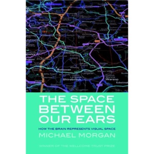 The Space Between Our Ears: How the brain represents visual space