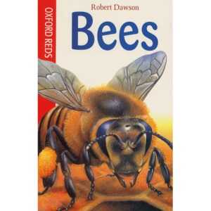 Bees (Oxford Reds)