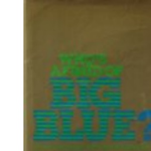 Who's Afraid of Big Blue?: How Companies are Challenging I.B.M. and Winning