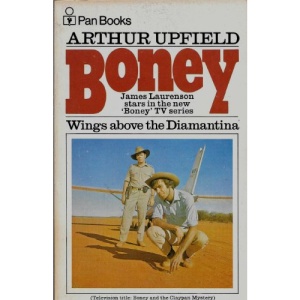 Wings Above the Diamantina