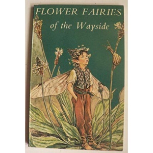 Flower Fairies of the Wayside