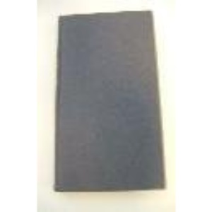 The Next Ten Thousand Years: Vision of Man's Future in the Universe