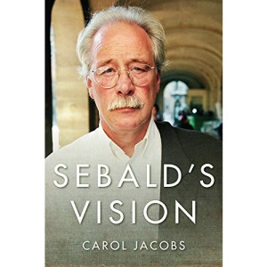 Sebald's Vision (Literature Now)