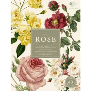 The Rose