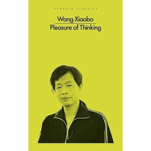 The Pleasure of Thinking