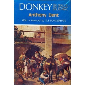 Donkey: Story of the Ass from East to West