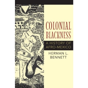 Colonial Blackness: A History of Afro-Mexico (Blacks in the Diaspora)