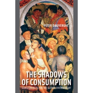 Shadows of Consumption