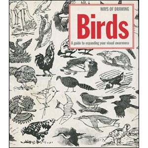 Ways of Drawing Birds