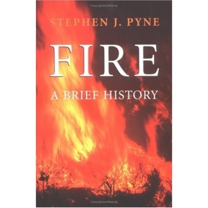 Fire: A Brief History (Cycle of Fire)